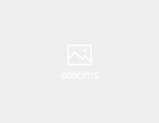 eteams 产品总览